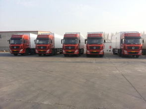 寧波至成都物流專線與國(guó)際物流服務(wù)解析